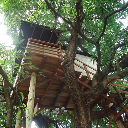 Casa Na Arvore Σαλβαντόρ Εξωτερικό φωτογραφία