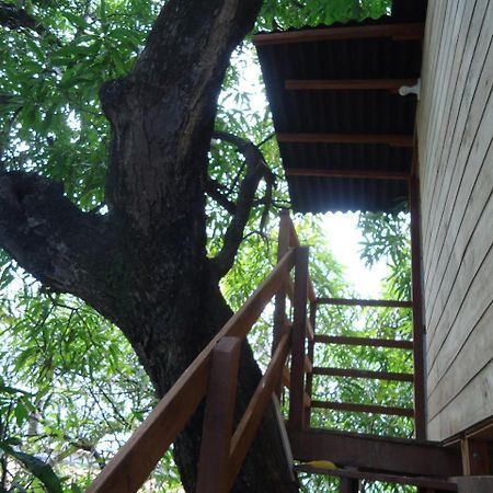 Casa Na Arvore Σαλβαντόρ Εξωτερικό φωτογραφία