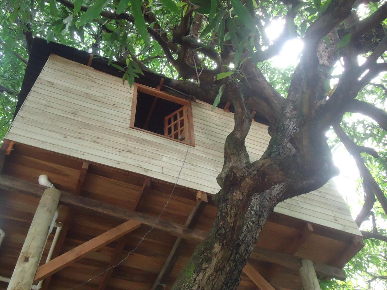 Casa Na Arvore Σαλβαντόρ Εξωτερικό φωτογραφία