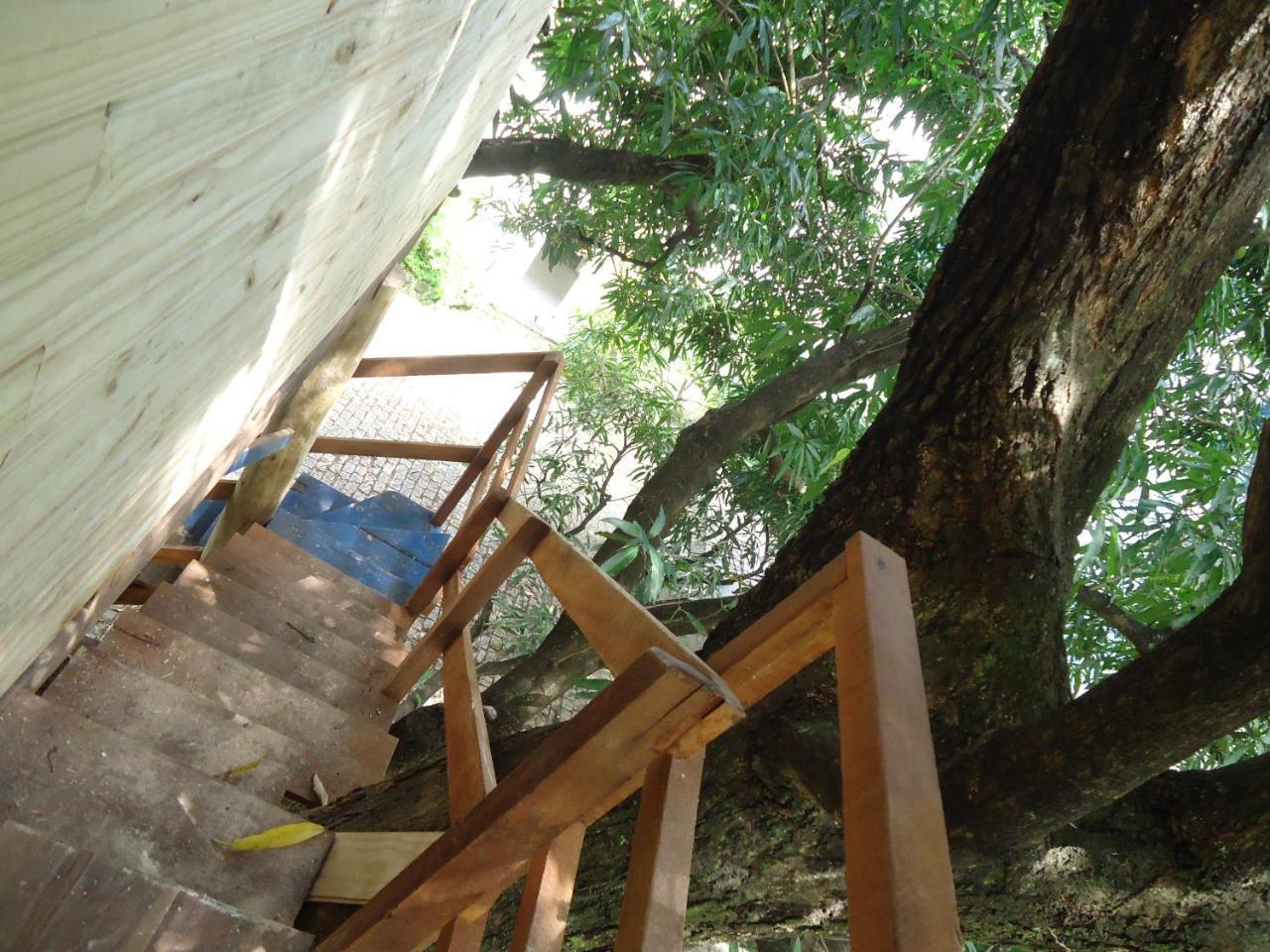 Casa Na Arvore Σαλβαντόρ Εξωτερικό φωτογραφία