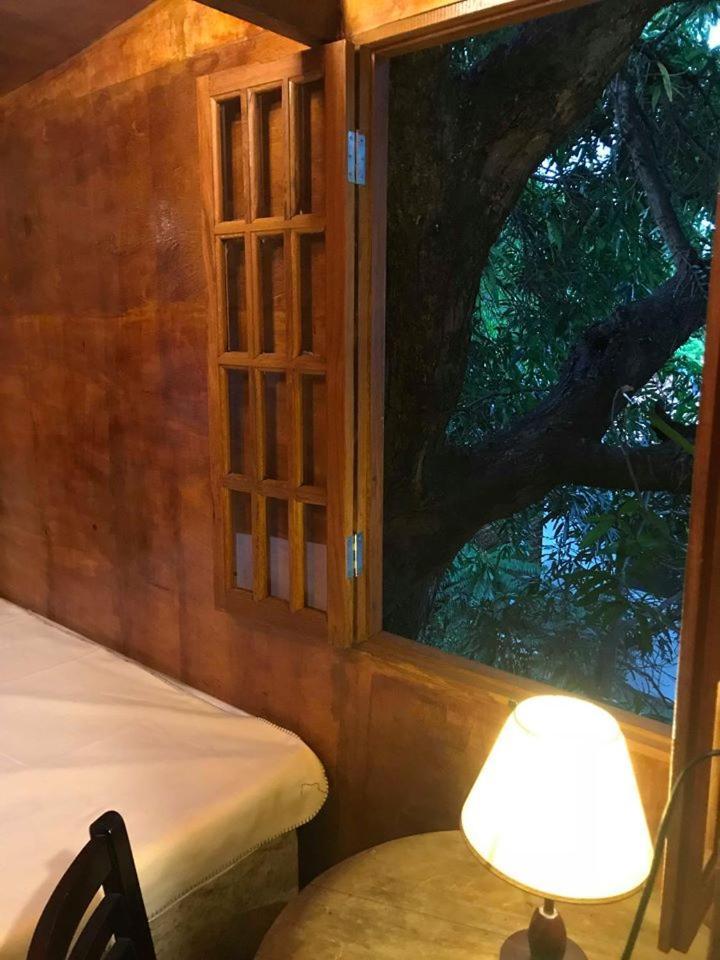 Casa Na Arvore Σαλβαντόρ Εξωτερικό φωτογραφία
